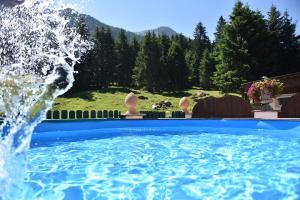 a swimming pool with a water fountain in a yard at Apartment Fernerkogel in Gries im Sellrain