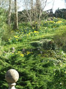 A garden outside Stay at Penny's Mill 