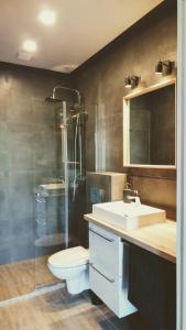 a bathroom with a toilet and a sink and a shower at Apartamenty całoroczne in Puck