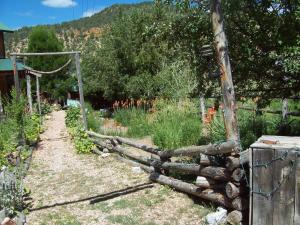 Gallery image of The Wandering Star Inn in Glendale