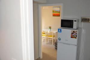 a kitchen with a microwave on top of a refrigerator at Daisy Apartment in Asprovalta