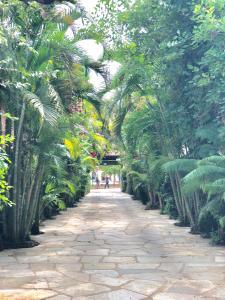 um caminho ladeado por palmeiras em um parque em Pousada Rancho do Ralf em Pirenópolis