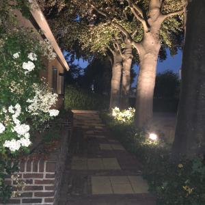Zahrada ubytování B&B Bleiswijk