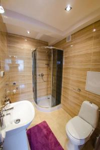 a bathroom with a toilet and a sink and a shower at Apartamenty Giżycko in Giżycko