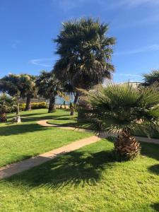 a palm tree in a park with a path at Cabañas Costatour Quintero in Quintero