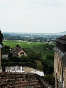 Blick auf die Landschaft von einem alten Gebäude in der Unterkunft Cottage AU TERMINUS 2 climatisé in Hautvillers