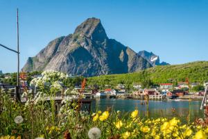 Gallery image of Madelhea Cabin- Seaview Lodge in Reine