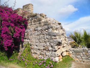 an old stone wall with purple flowers at Bea's Bed & Breakfast in Tavira