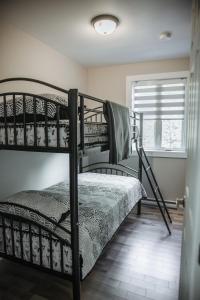 Katil dua tingkat atau katil-katil dua tingkat dalam bilik di Chalet Mathis