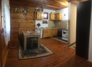 Kuhinja ili čajna kuhinja u objektu Apartment Anica