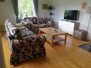 Skulebergets Frestelse في Docksta: غرفة معيشة مع أريكة وطاولة قهوة