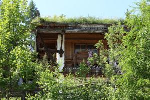 Vonkajšia záhrada v ubytovaní Chalet Alm Planai