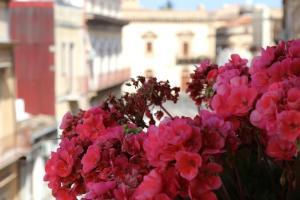Fotografie z fotogalerie ubytování B&B Bellavista Francofonte v destinaci Francofonte