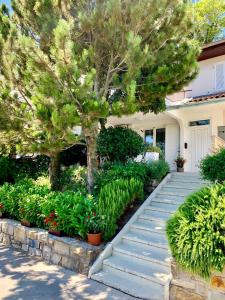 a house with a garden with trees and plants at Villa Yadranka in Strunjan