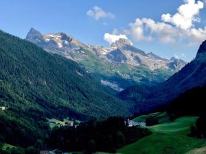 a view of a mountain range with trees and mountains at L'Ancolie in Le Reposoir