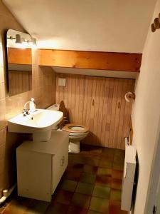 a bathroom with a toilet and a sink at L'Ancolie in Le Reposoir