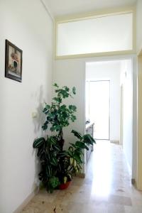 Fotografie z fotogalerie ubytování Don Nicola Residence v destinaci Salve