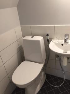 Gallery image of Tiigi Accommodation in Kärdla +23 photos