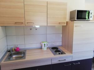 Köök või kööginurk majutusasutuses Studio Apartment Palmira