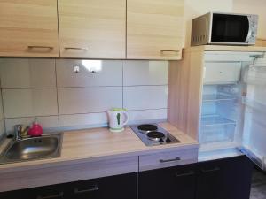 Köök või kööginurk majutusasutuses Studio Apartment Palmira