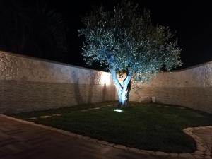 Сад в B&B Villa Venere