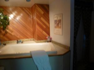 een badkamer met een bad met een blauwe stoel bij Linda's By The Lake in Maple Valley