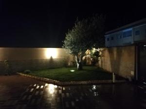 Сад в B&B Villa Venere