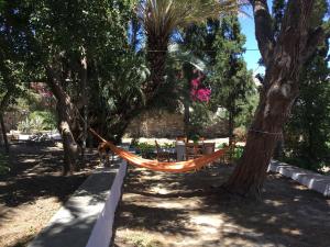 Zahrada ubytování Katina's garden studio + 11 fotografií