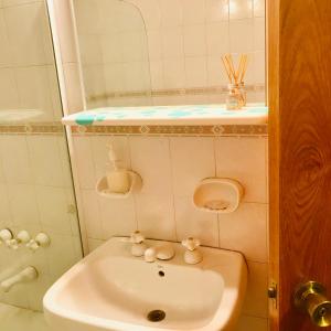 een badkamer met een wastafel waarop twee knuffeldieren staan bij Regency Bombal Apartments in Mendoza