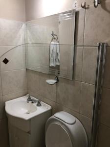 une salle de bains avec lavabo, toilettes et douche dans l'établissement Ruffus's Apple Cipolletti, à Cipolletti