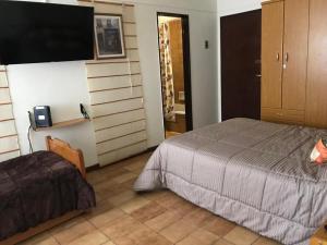 1 dormitorio con 1 cama y TV de pantalla plana en Ruffus's Apple Mardel en Mar del Plata