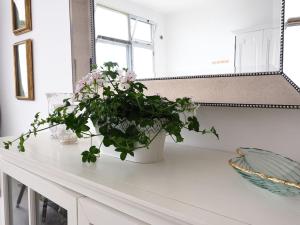 a white counter with a potted plant on it at La Dolce Vita in Lagoa