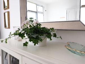 a white counter with a potted plant on it at La Dolce Vita in Lagoa +38 photos
