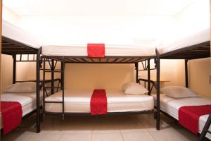Двох'ярусне ліжко або двоярусні ліжка в номері Flor de Katty Hostel Airport