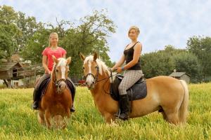 Reiten in der Pension oder in der Nähe