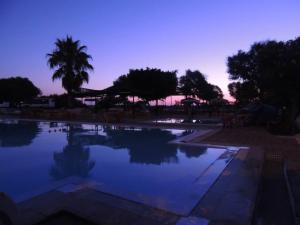 a swimming pool at dusk with a palm tree in the background at Complexe Touristique Sidi Salem in Bizerte