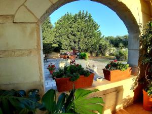 Zahrada ubytování B&B La Nicchiarica