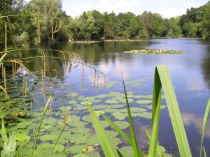 View of a river running close to the vacation home 