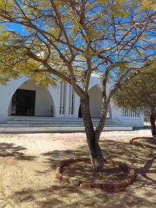 a tree in a circle in front of a building at HANIALA BY THE SEA in Mahajanga