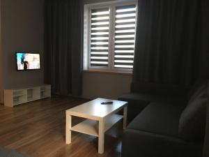 - un salon avec un canapé, une table et une fenêtre dans l'établissement Apartament Elbląg Centrum, à Elbląg