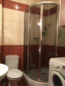 a bathroom with a shower with a toilet and a washing machine at Apartament Elbląg Centrum in Elblag