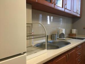 a kitchen with a sink with a metal faucet at Apartament Elbląg Centrum in Elblag