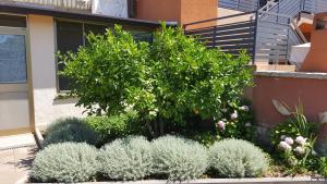 un jardin de plantes devant un bâtiment dans l'établissement Rooms Katarina, à Poreč