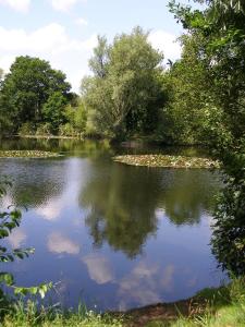 een rivier met een weerspiegeling van de lucht in het water bij Stone House Farm (Adults Only) in Lyng