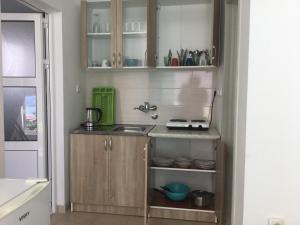 Kuchyň nebo kuchyňský kout v ubytování DK Apartmani