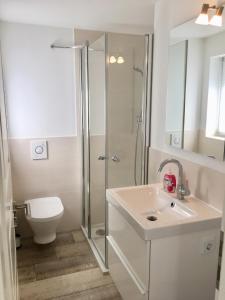 a bathroom with a shower and a sink and a toilet at GartenApartment Strandgut mit Outdoor Whirlpool und Garten in Petershagen