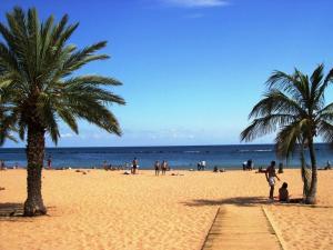 a group of people on a beach with palm trees at Hotel Nautico in Santa Cruz de Tenerife