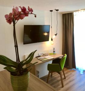TV a/nebo společenská místnost v ubytování Flair Hotel Grüner Baum