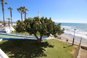 a tree on the beach next to the ocean at MADRID 810 in Torrox Costa