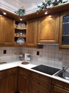 Kuchyň nebo kuchyňský kout v ubytování Anna Báthory Apartmanház